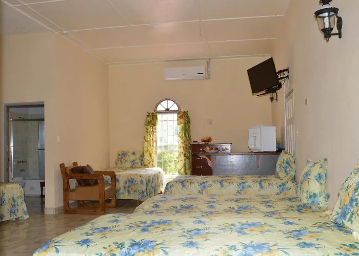 Casa De Shalom 3* Ocho Ríos