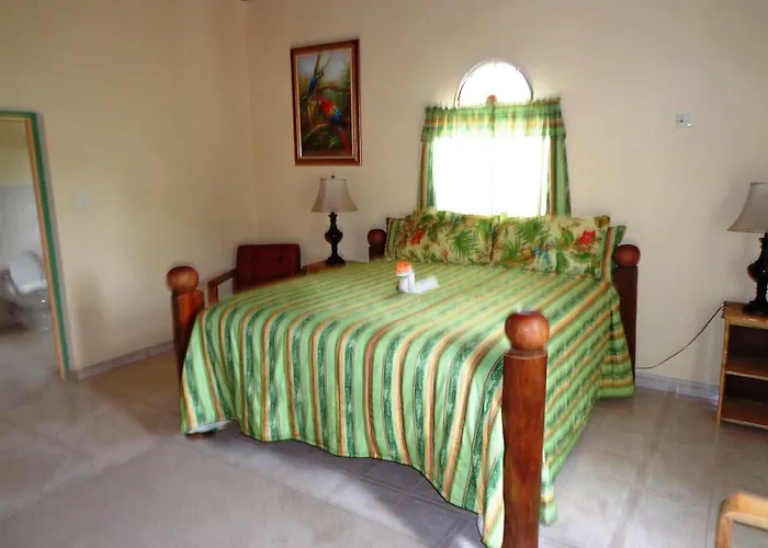 Casa De Shalom 3* Ocho Ríos